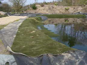 Bschungsvlies am Schwimmteich Foto.jpg