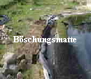 Bschungsmatte Schwimmteich